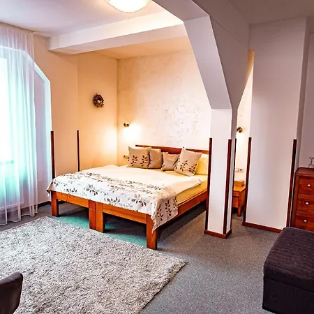 A Restaurace Stare Casy Гостевой дом 3*